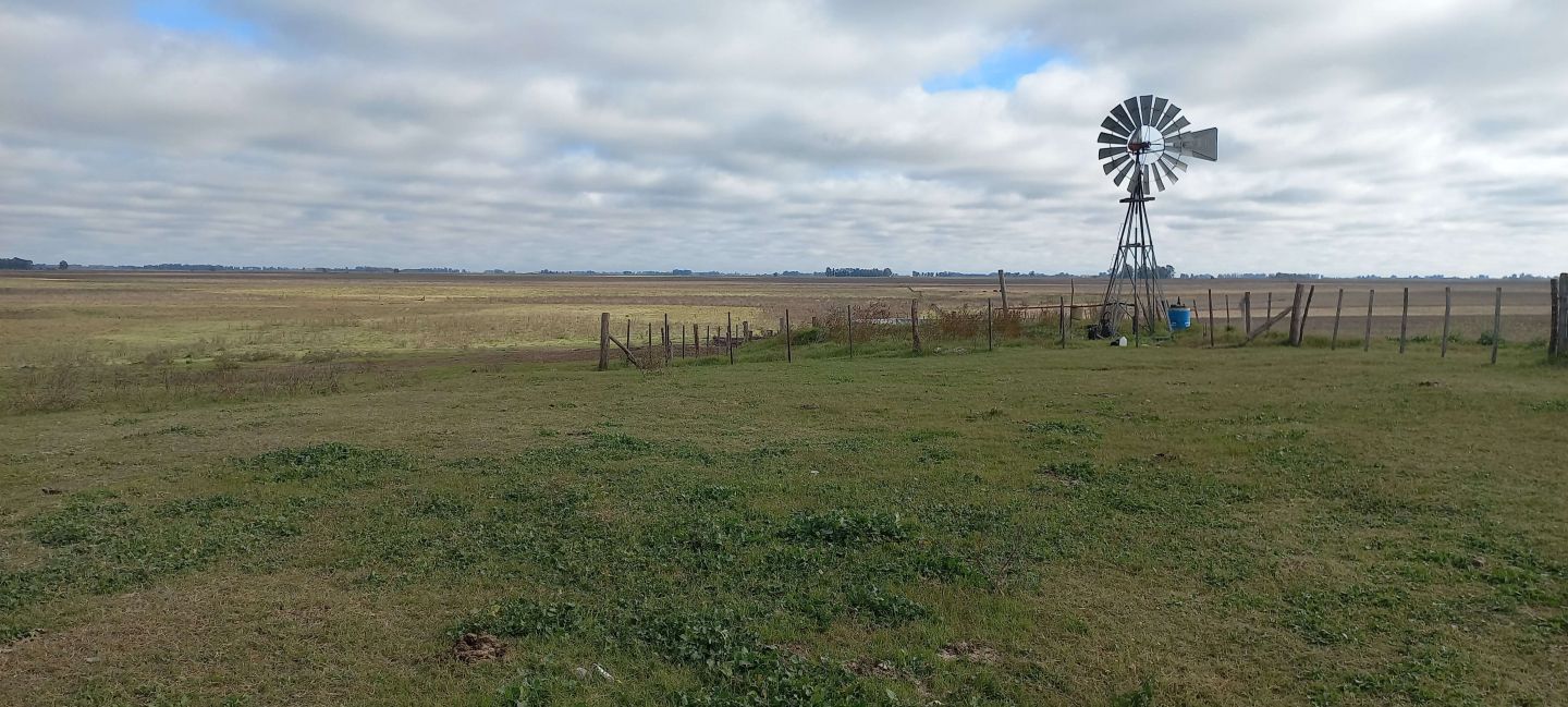 Campo EN VENTA