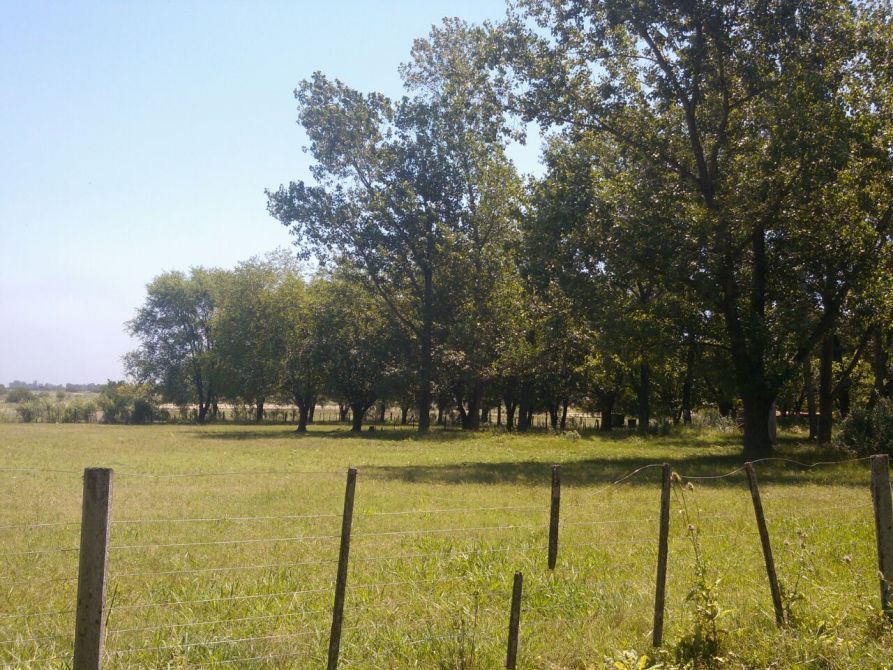Lote en Venta en Alte. Brown, G.B.A. Zona Sur