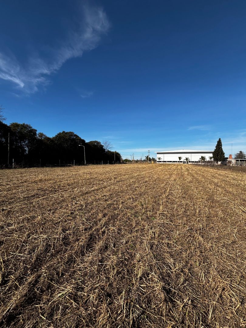 Campo en Venta en Cordoba, Cordoba