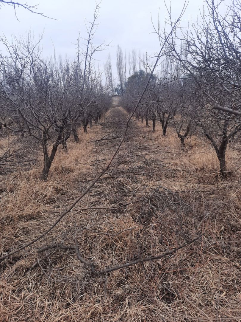 Campo en Venta en Junin, Buenos Aires Interior