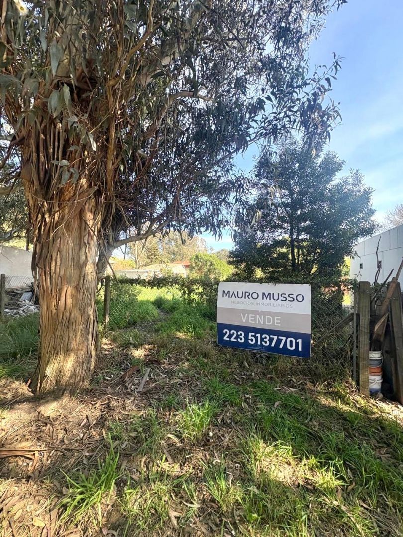 Lote en Venta en Mar del Plata, Buenos Aires Costa Atlantica