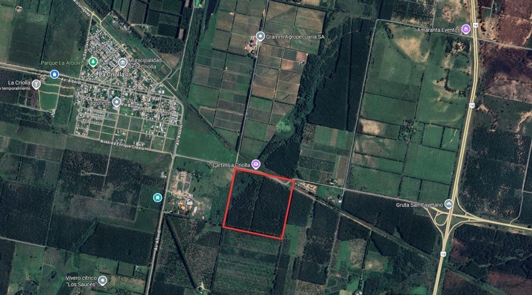 Campo EN VENTA