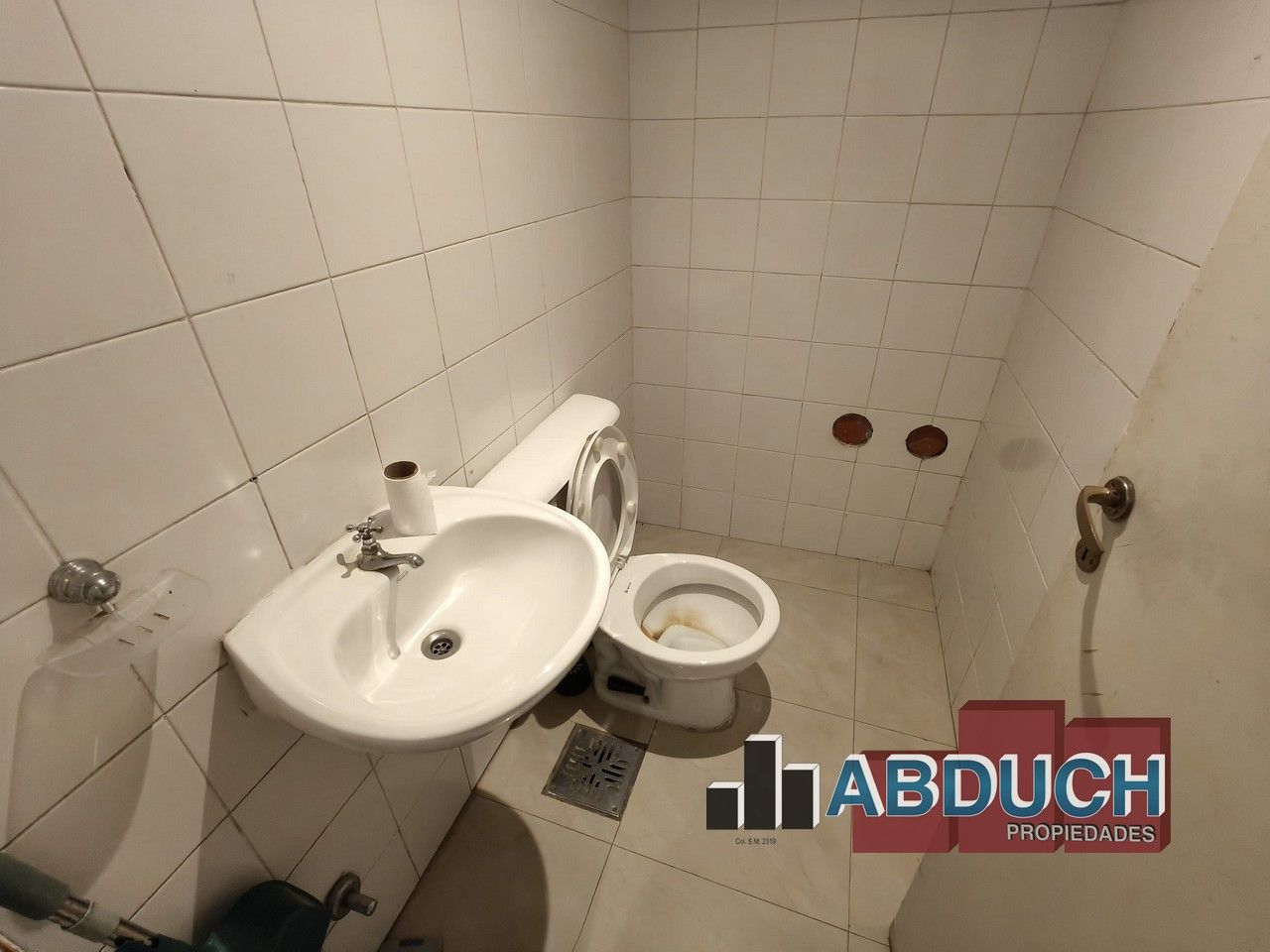 Imagen 8