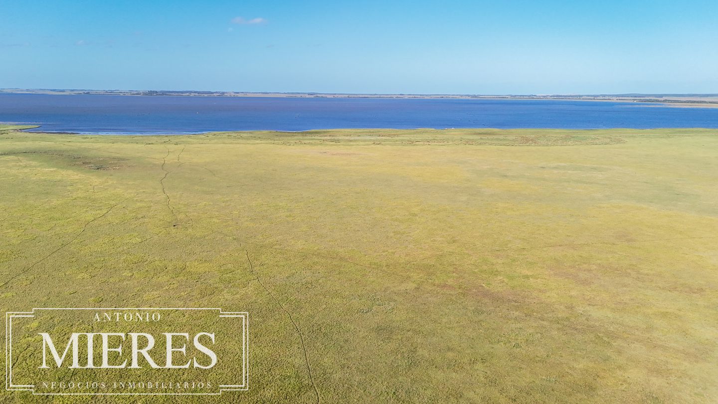 Campo EN VENTA