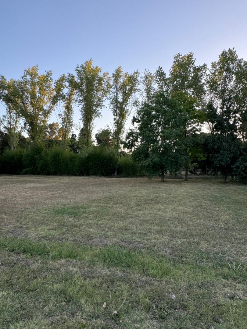 Lote EN VENTA