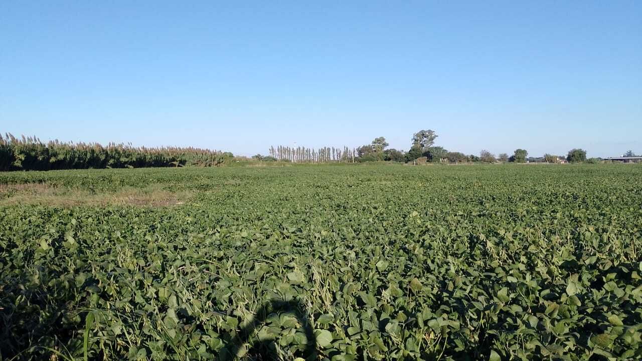 Campo EN VENTA