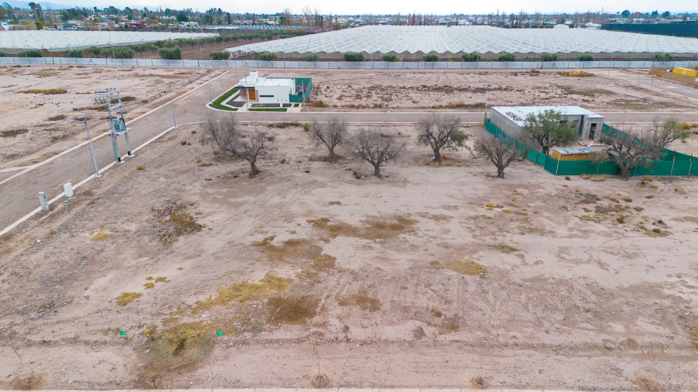 Lote en Venta en Lujan de Cuyo, Mendoza