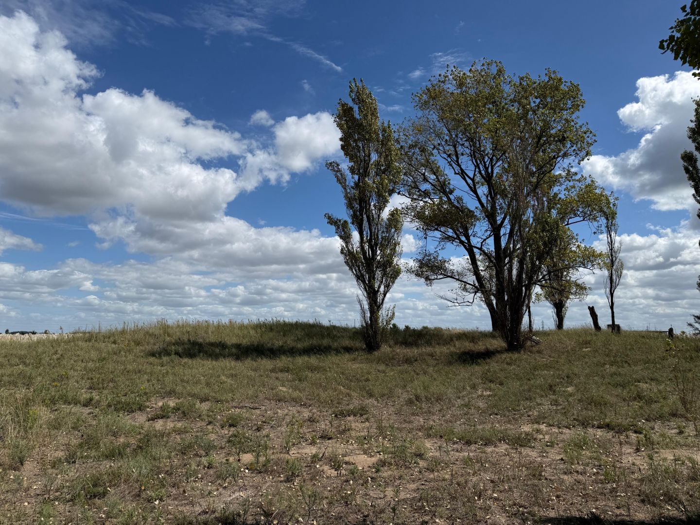Lote EN VENTA