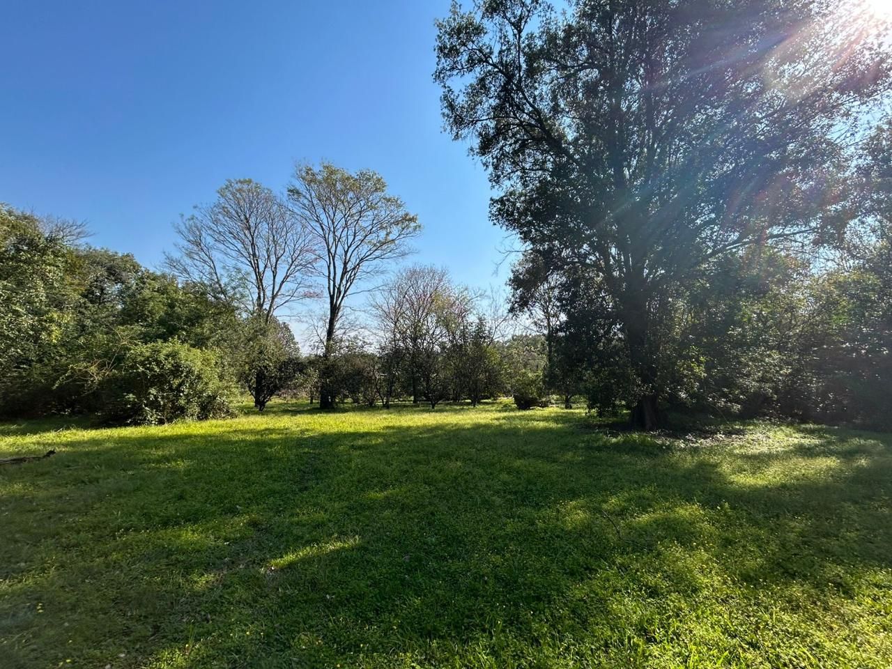 Lote EN VENTA