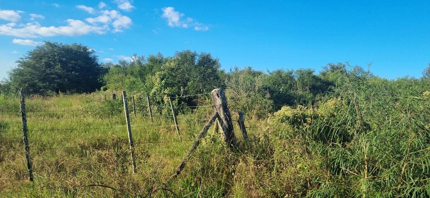 Campo EN VENTA
