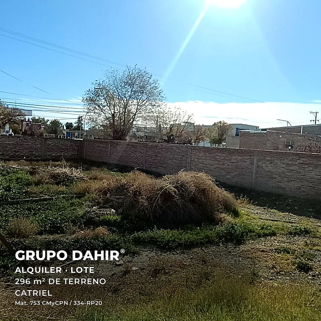 Lote en Area centro, Catriel — foto 1