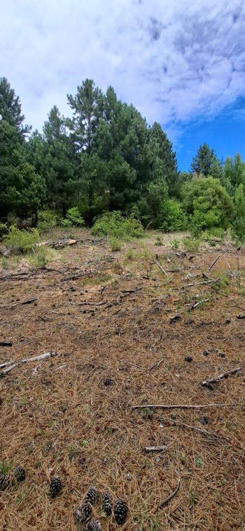 Lote en Venta en Lacar, Neuquen
