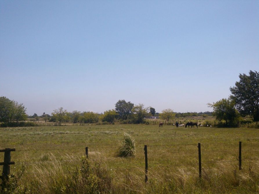 Lote en Venta en Alte. Brown, G.B.A. Zona Sur