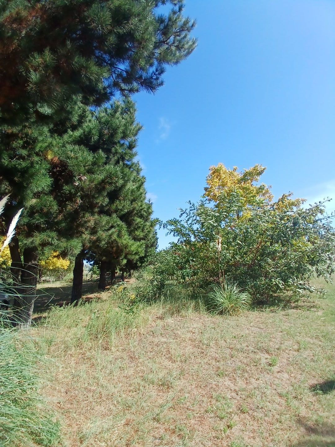 Lote EN VENTA