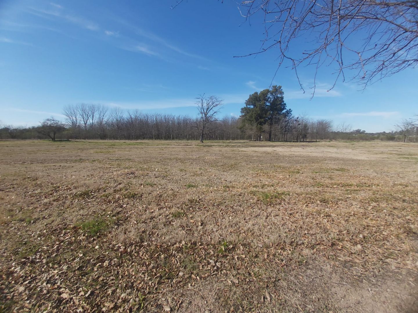 Lote EN VENTA