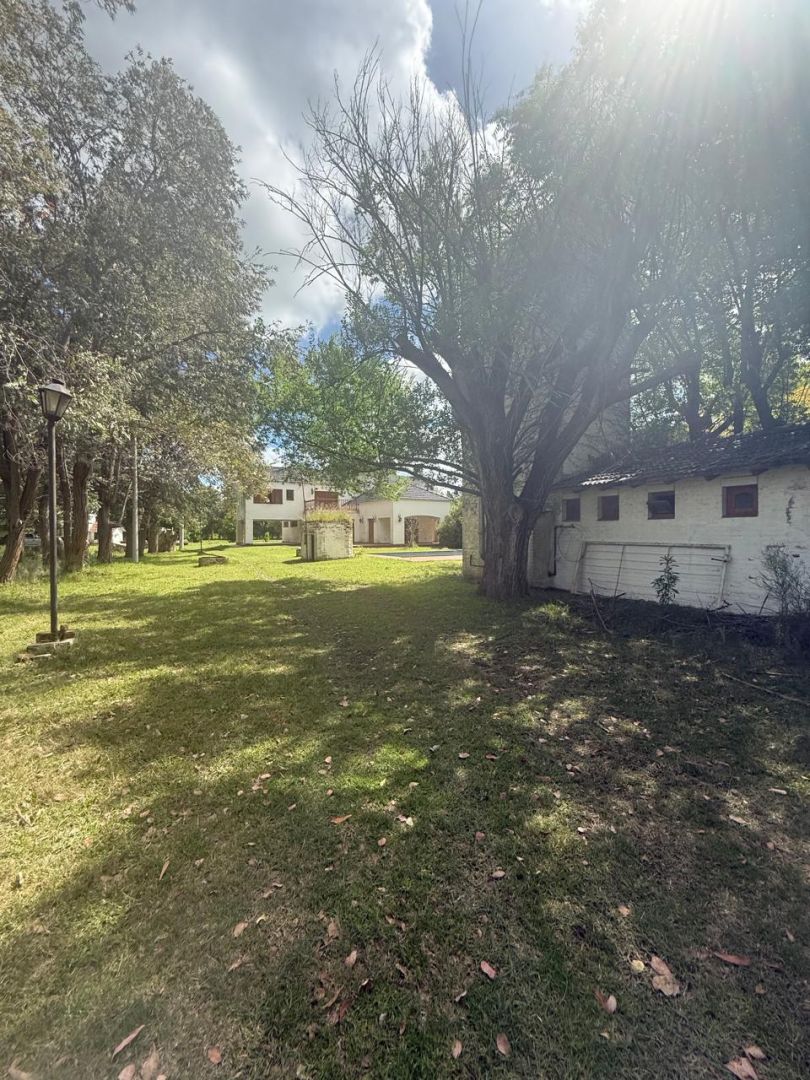 VENTA DE CAMPO EN Brandsen - Gómez de la Vega - 48