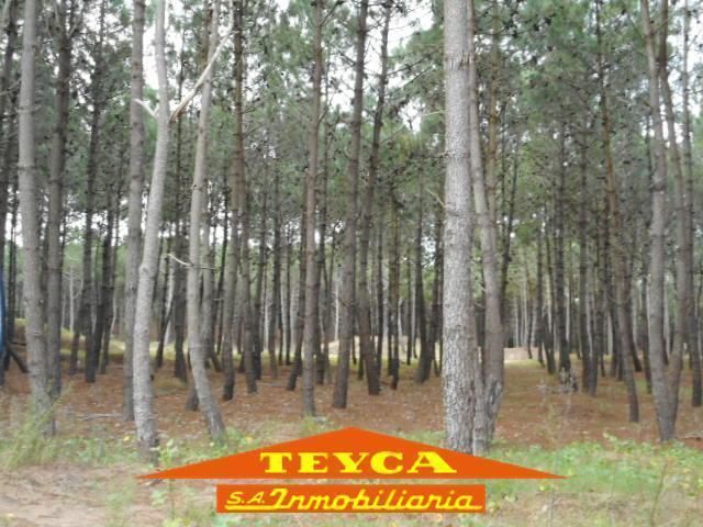 Lote en venta Norte 0 ambientes