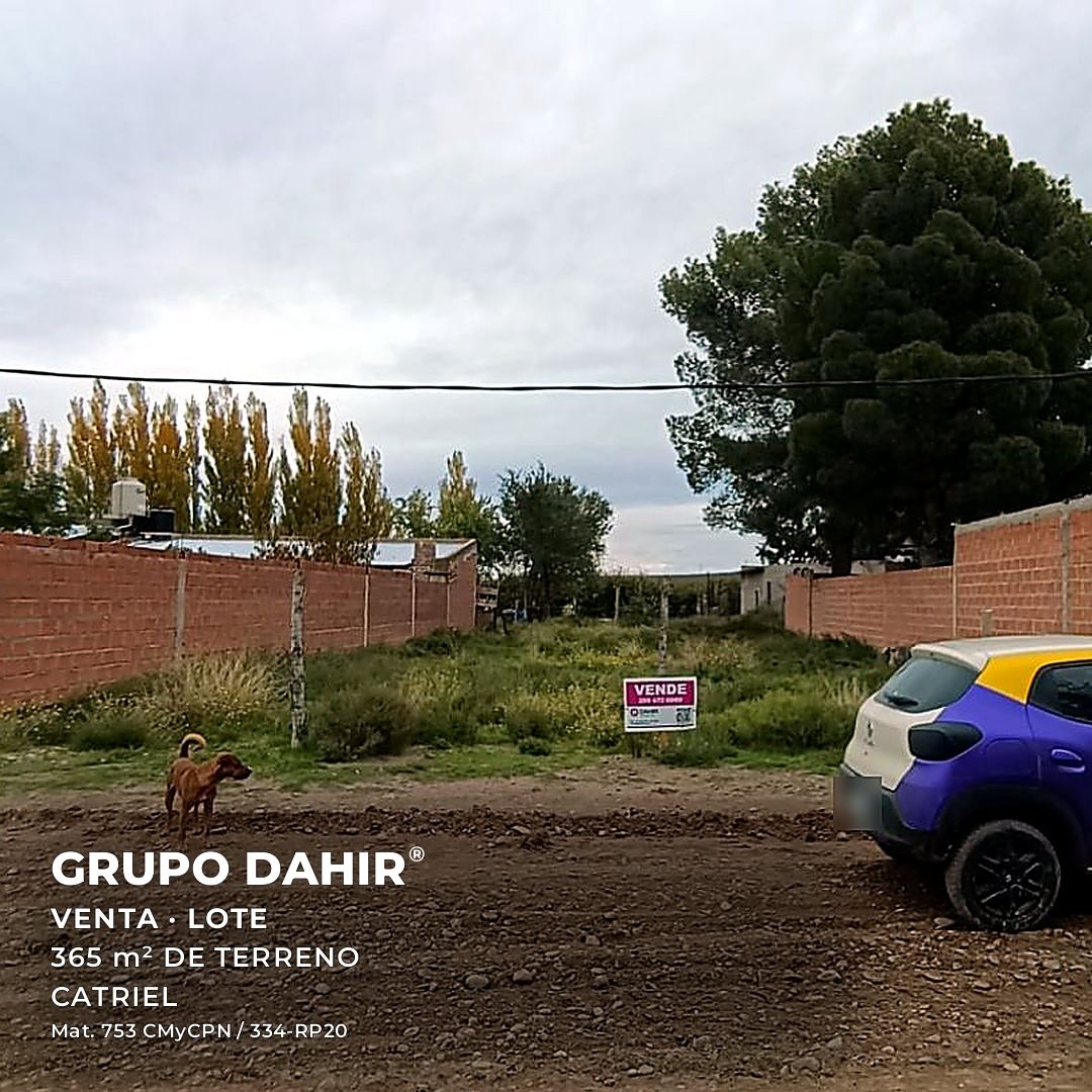 Lote en Catriel — foto 1