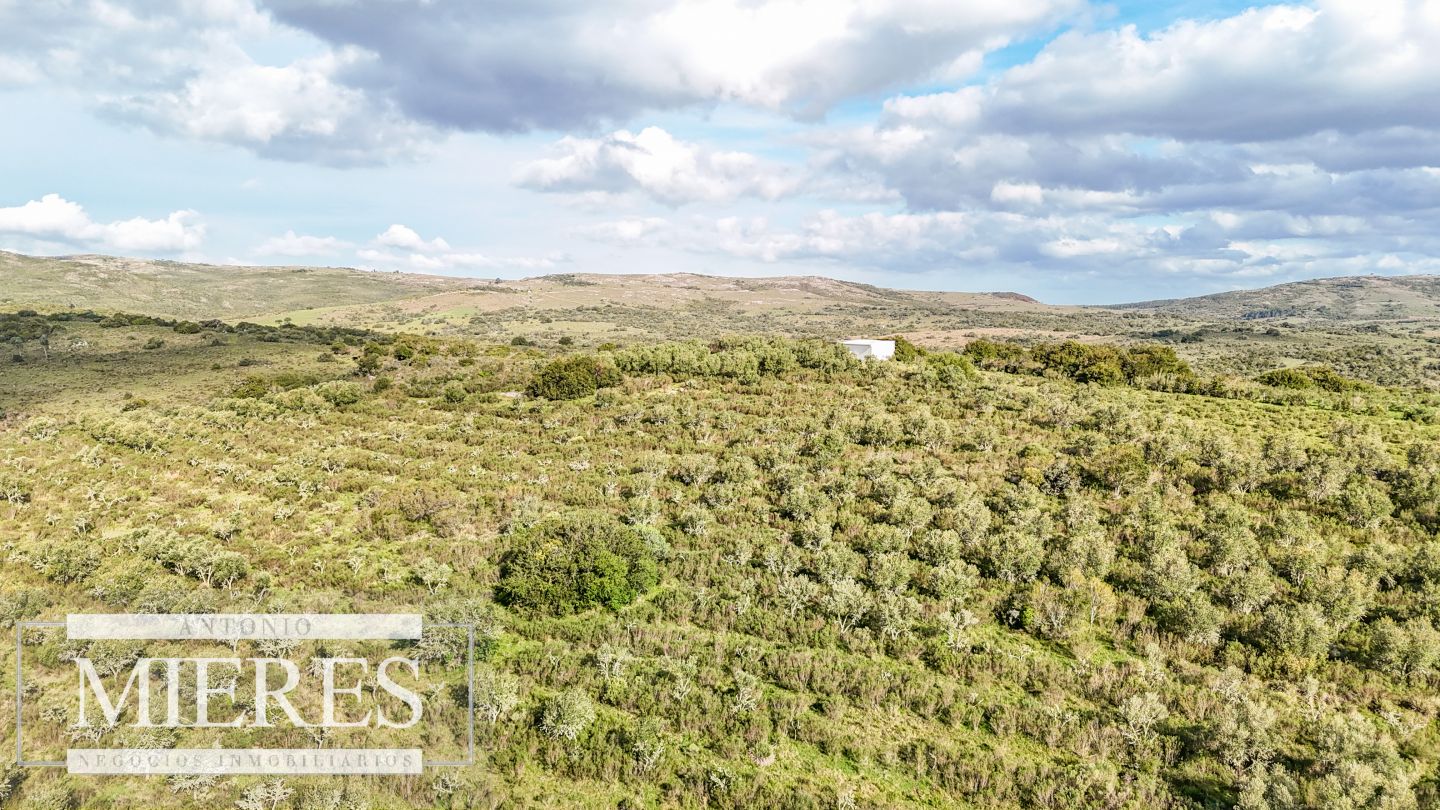 Campo EN VENTA