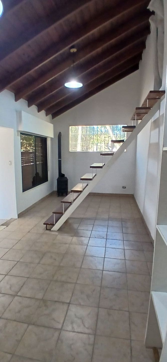 Imagen 5