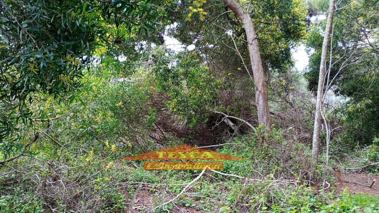 Lote en venta Norte 0 ambientes