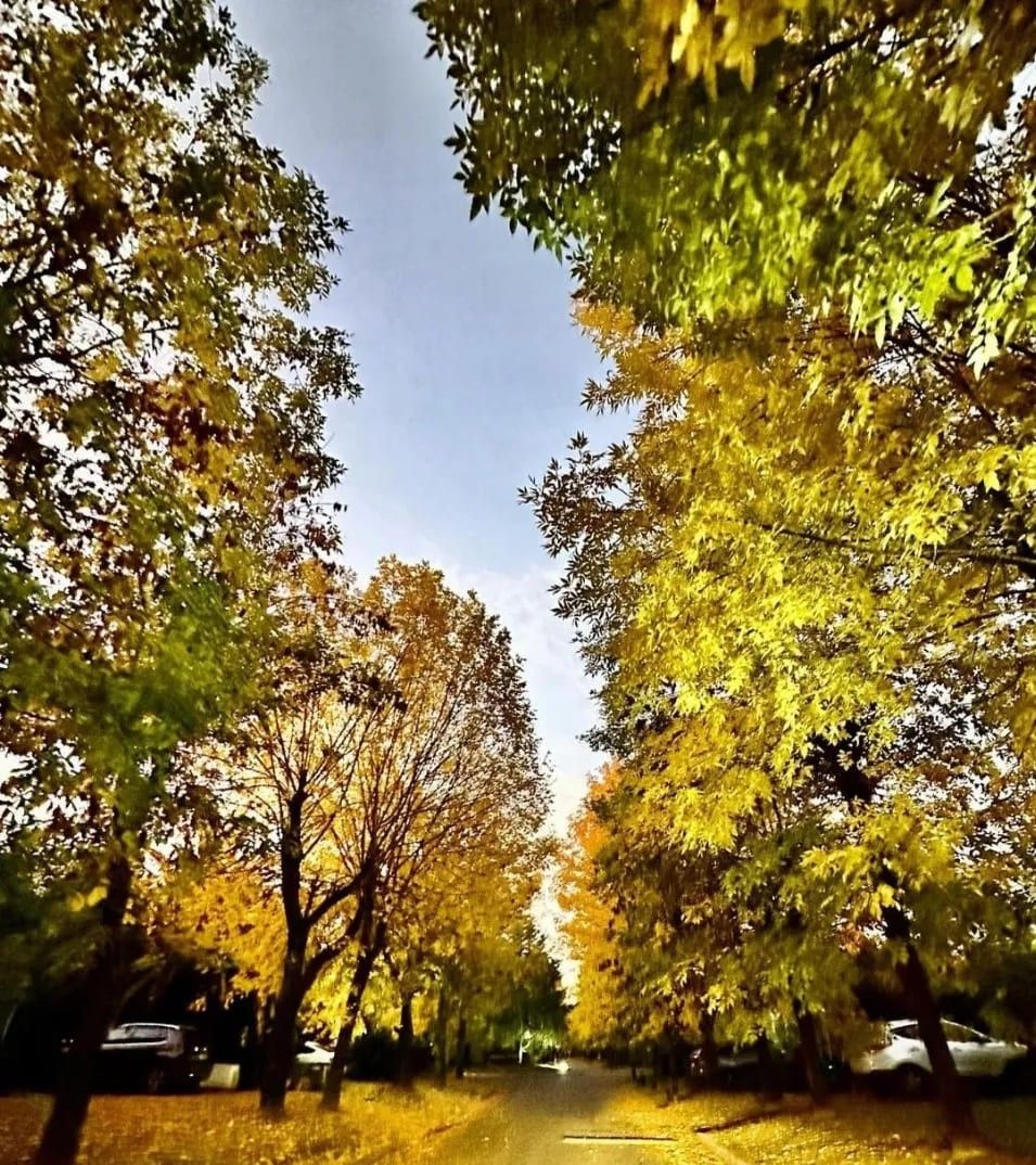 VENTA DE LOTE EN Ezeiza - 11