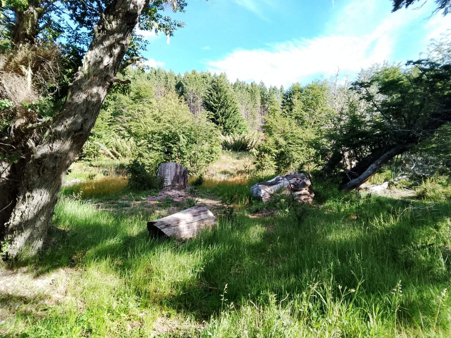 Lote en Venta en San Martin de los Andes, Neuquen