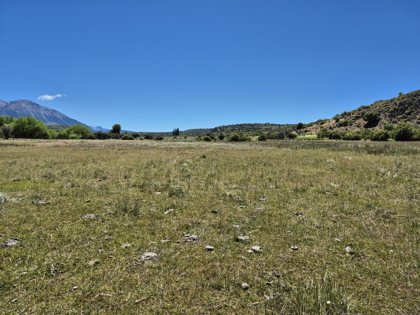 VENTA DE CAMPO EN Cholila - 23