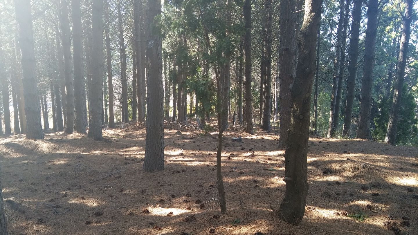 Lote en Venta en San Martin de los Andes, Neuquen