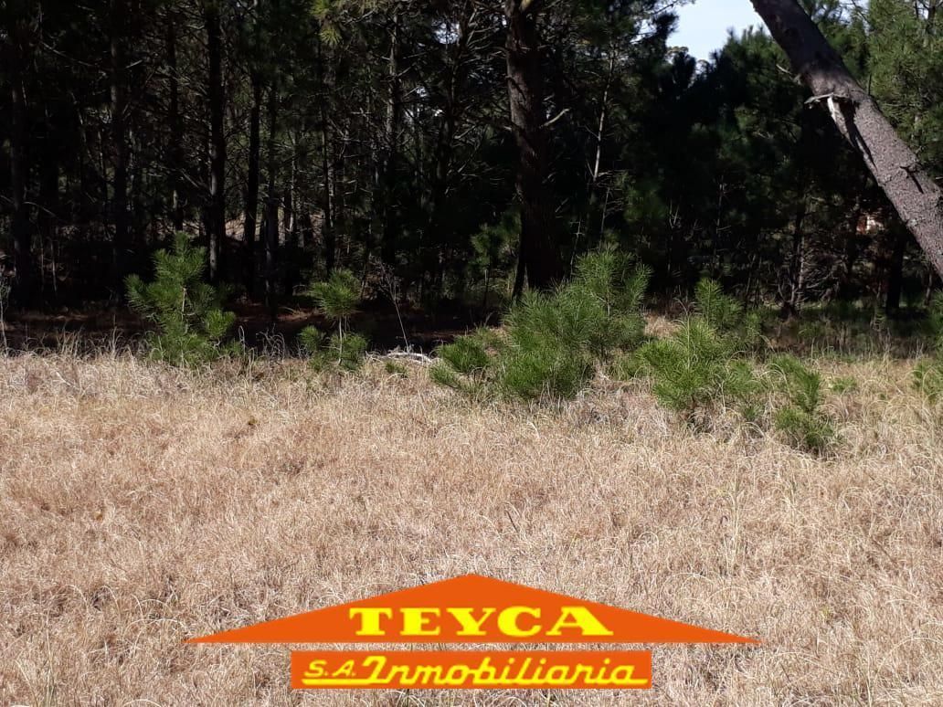 Lote en venta Alamos 0 ambientes