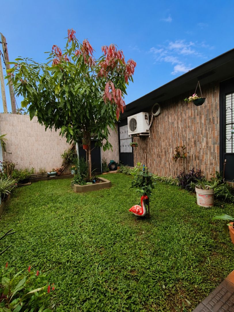 Imagen 3