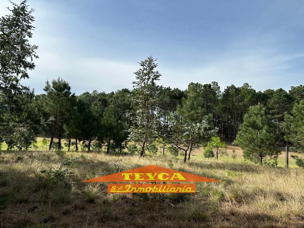 Lote en venta Golf Nuevo 0 ambientes