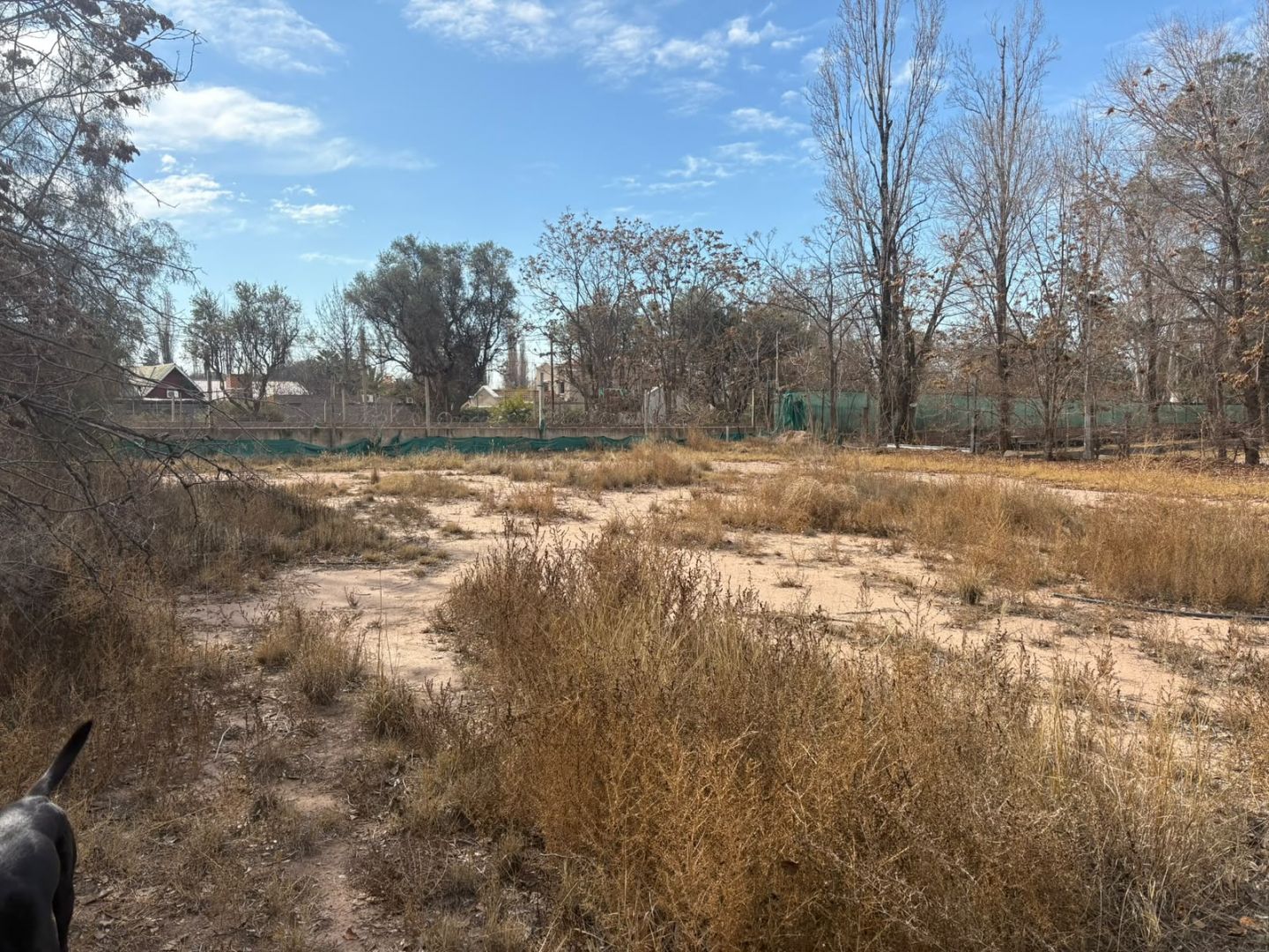 Lote en Venta en Lujan de Cuyo, Mendoza