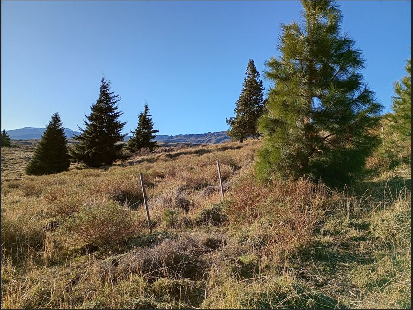 Lote en Venta en Huiliches, Neuquen