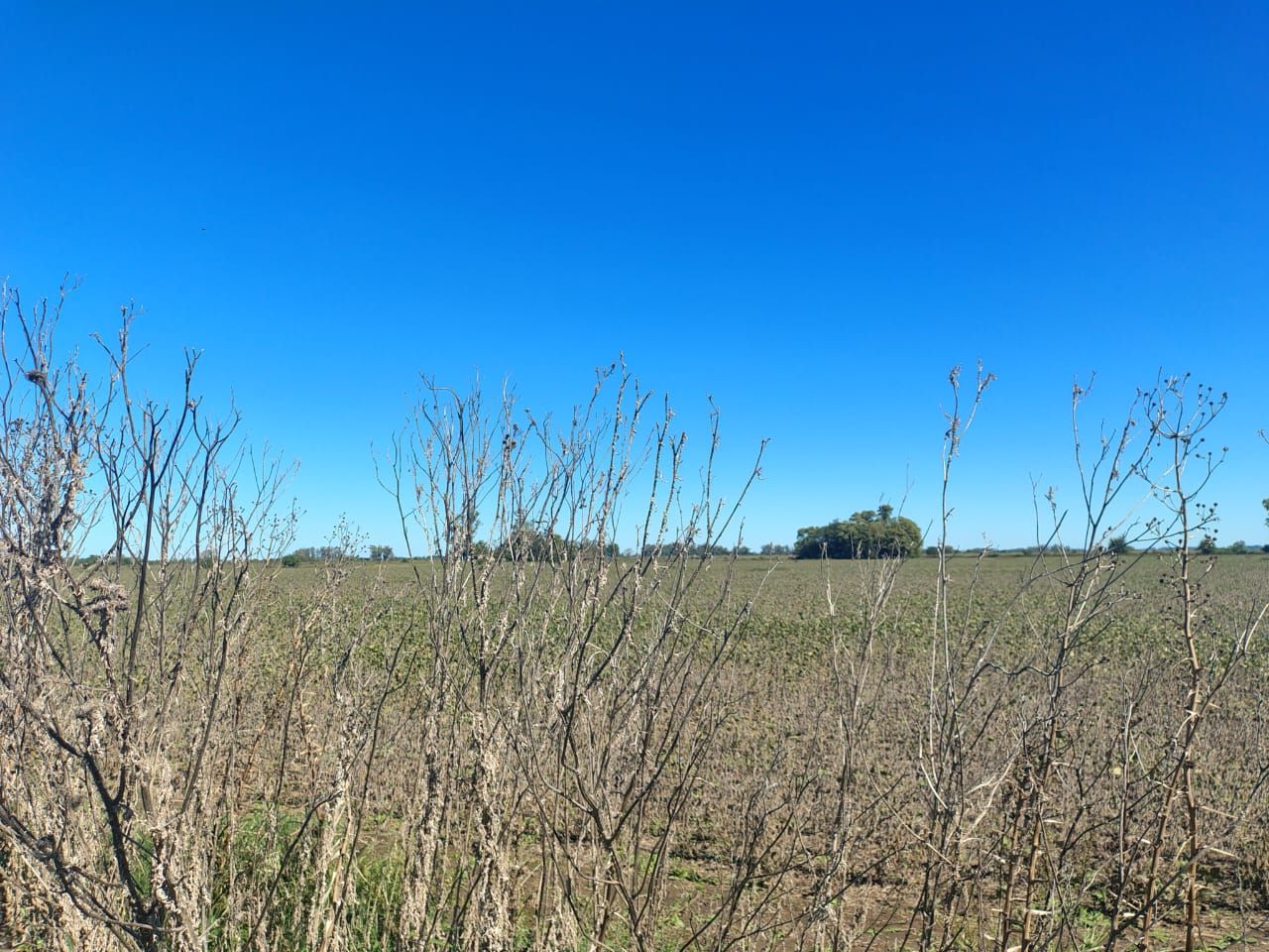 Campo en Venta en Zarate, G.B.A. Zona Norte