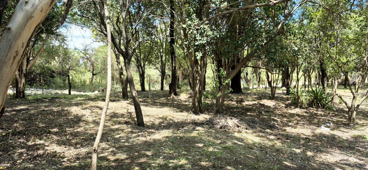 Lote EN VENTA