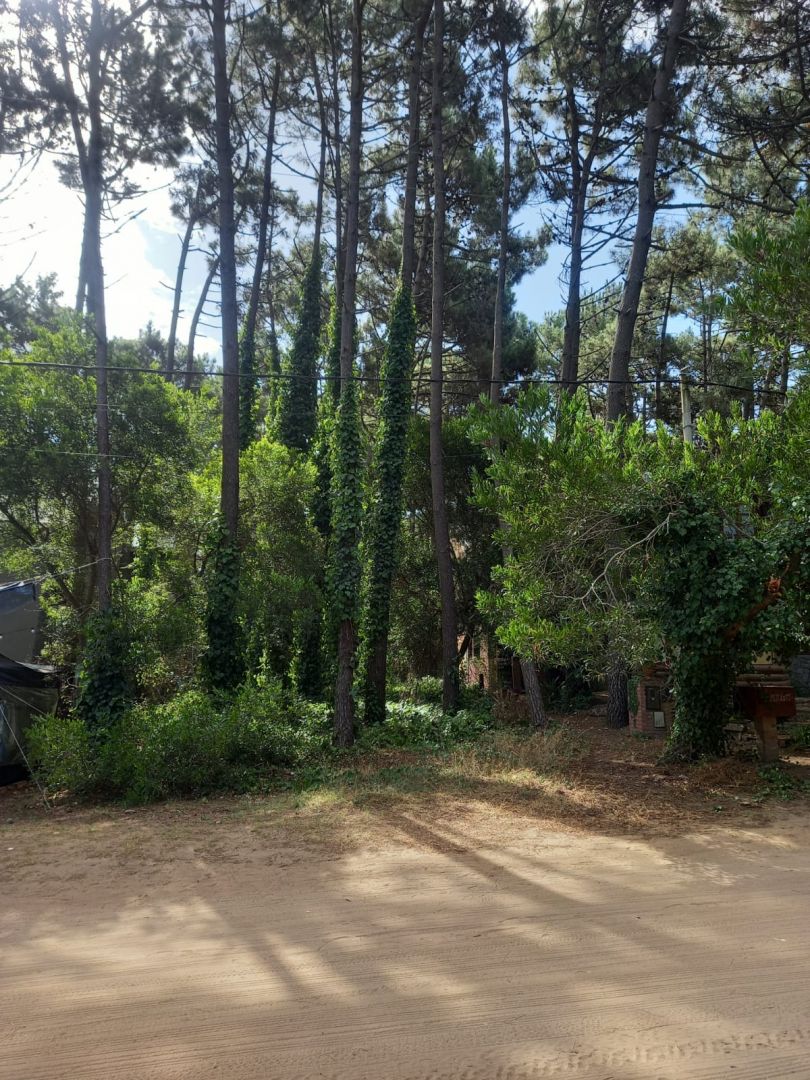 Lote EN VENTA