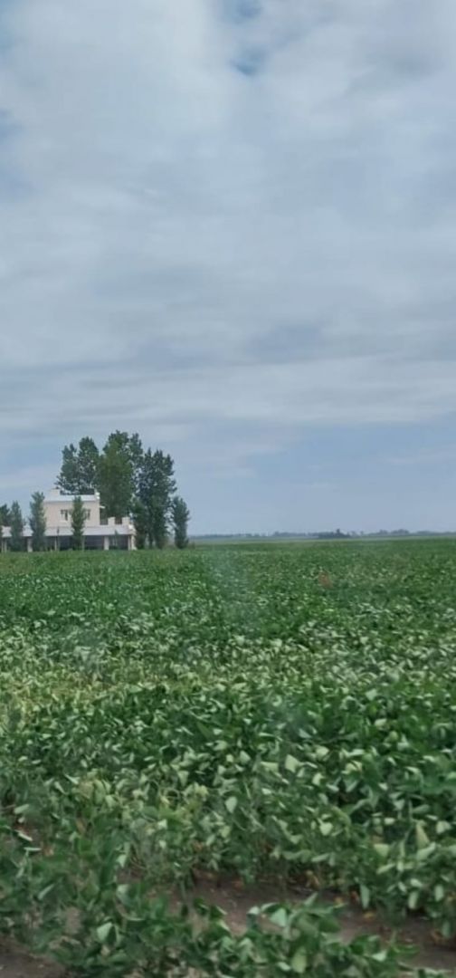 Campo en RUTA 178
