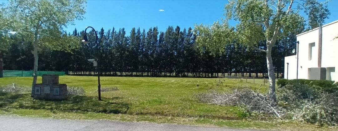 VENTA DE LOTE EN Brandsen - Haras del Sur II - 3