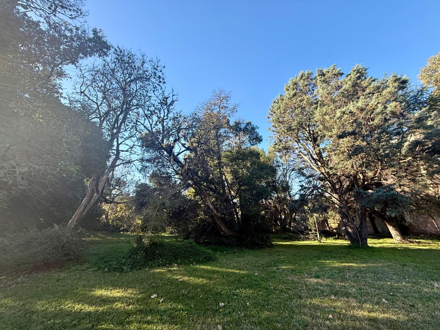 Lote EN VENTA