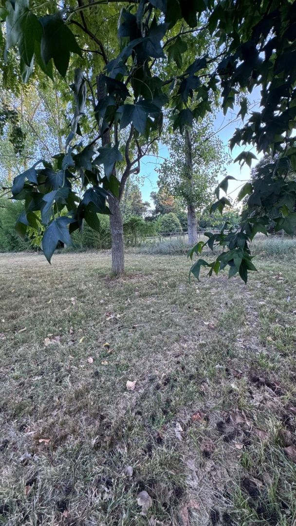 Lote EN VENTA