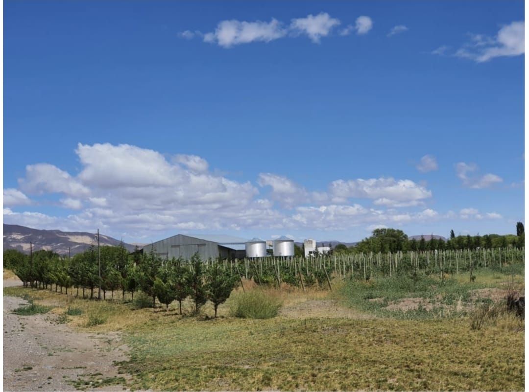 Campo EN VENTA