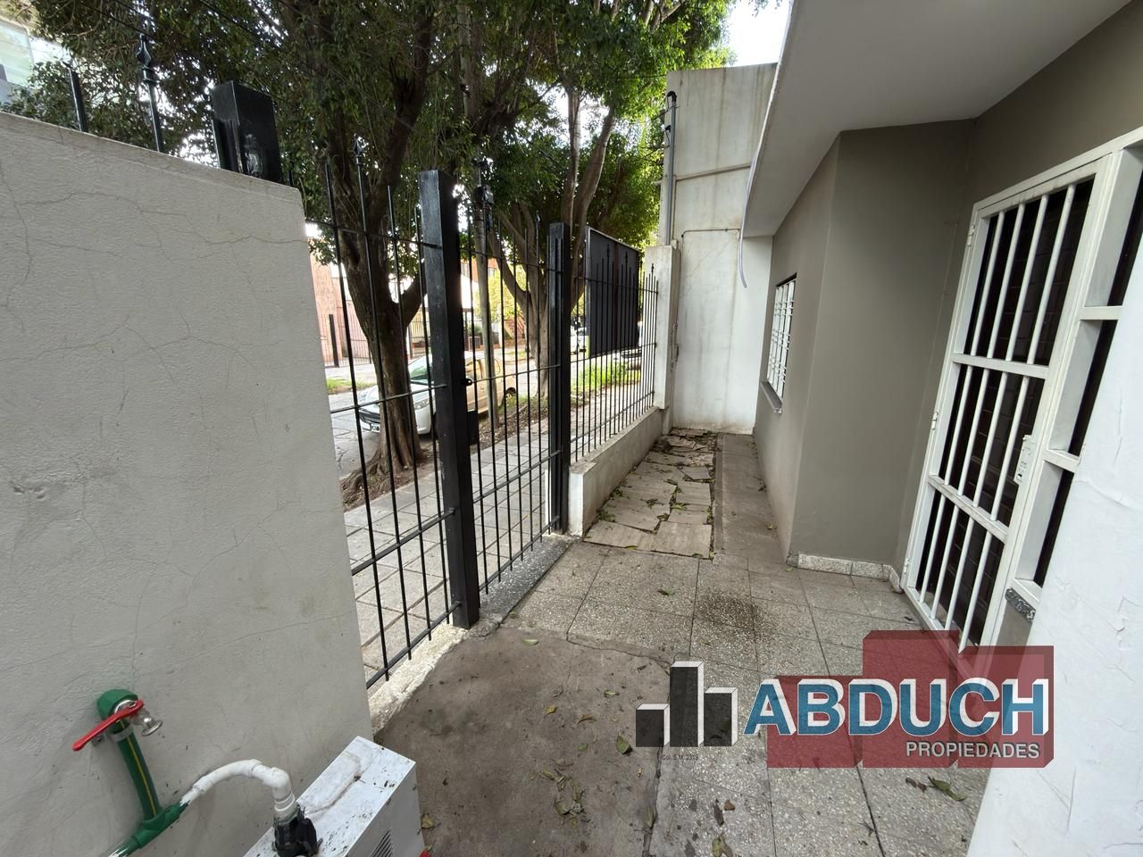 Imagen 2