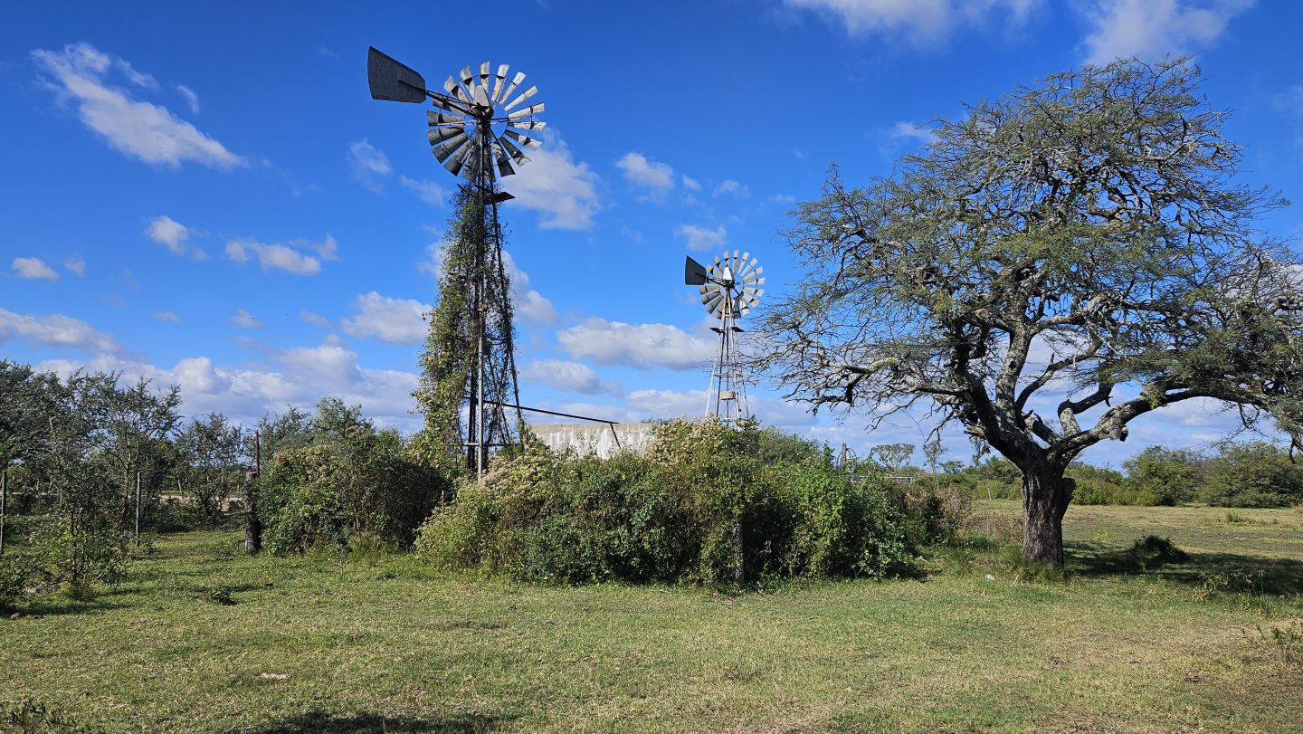 Campo EN VENTA