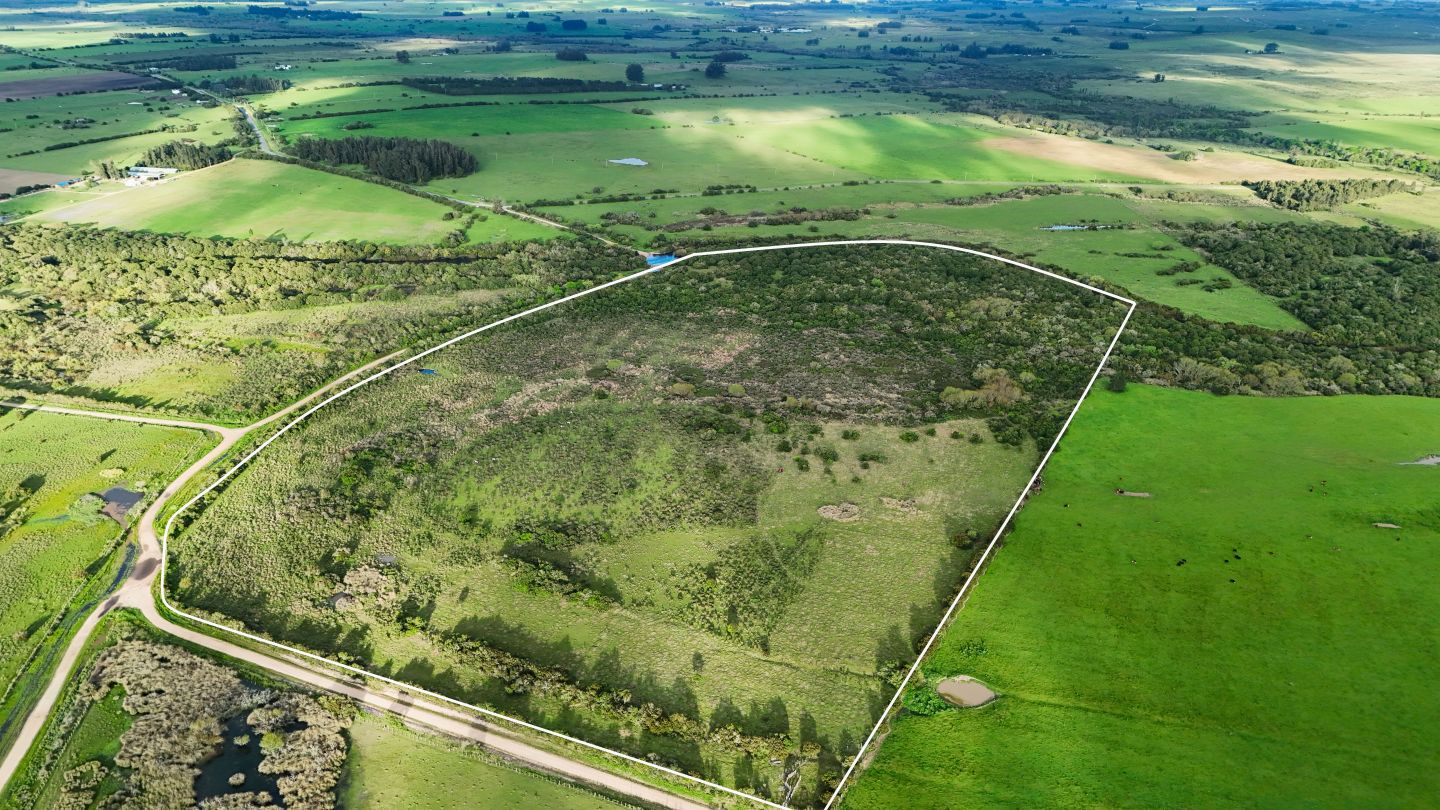 Chacra en venta San Carlos