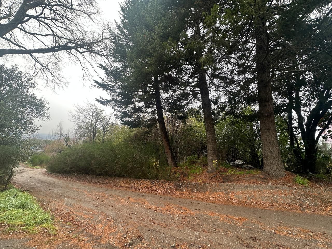 Lote en C del Pionero 100
