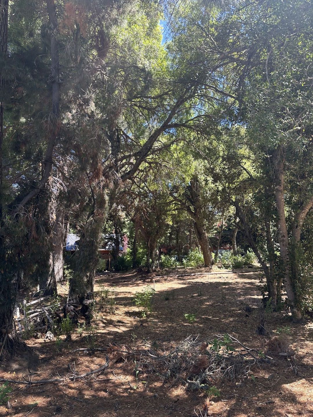 VENTA DE LOTE EN San Martín de los Andes - Camino Lolog - 36
