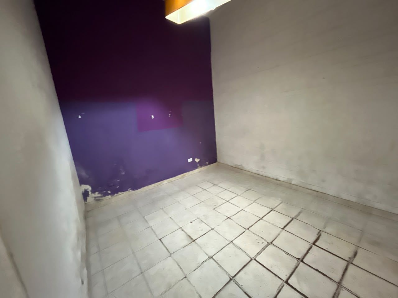 Imagen 12