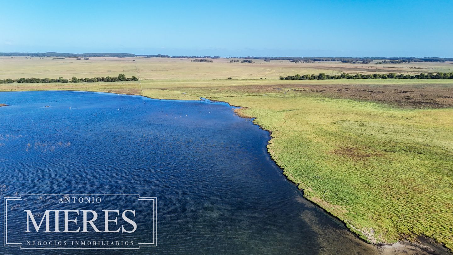 Campo EN VENTA