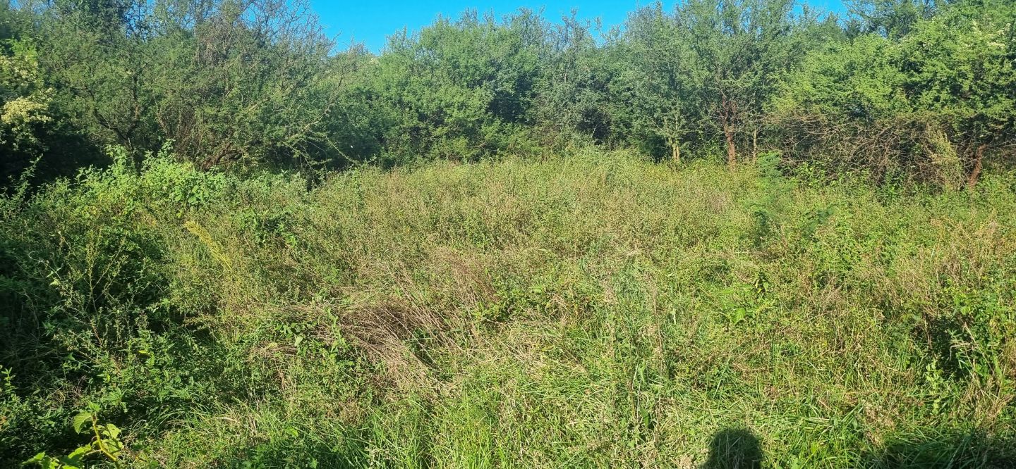 Campo EN VENTA